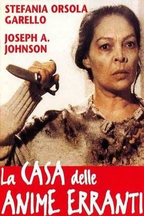 La casa delle anime erranti poster