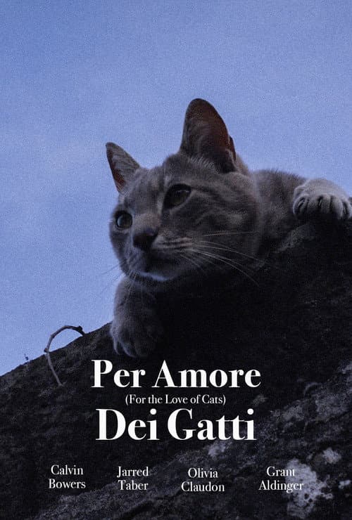 For the Love of Cats poster