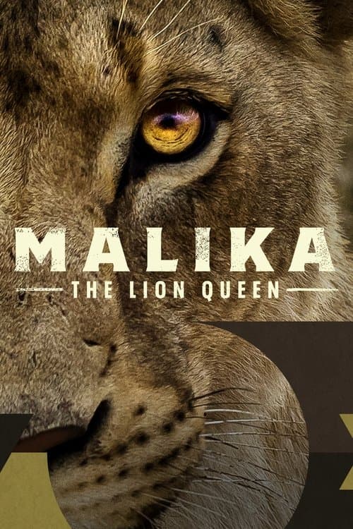 Malika: Lejondrottningen poster