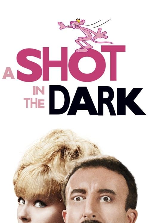 Skott i mörkret poster