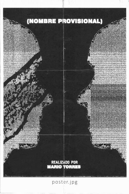 Nombre Provisional poster