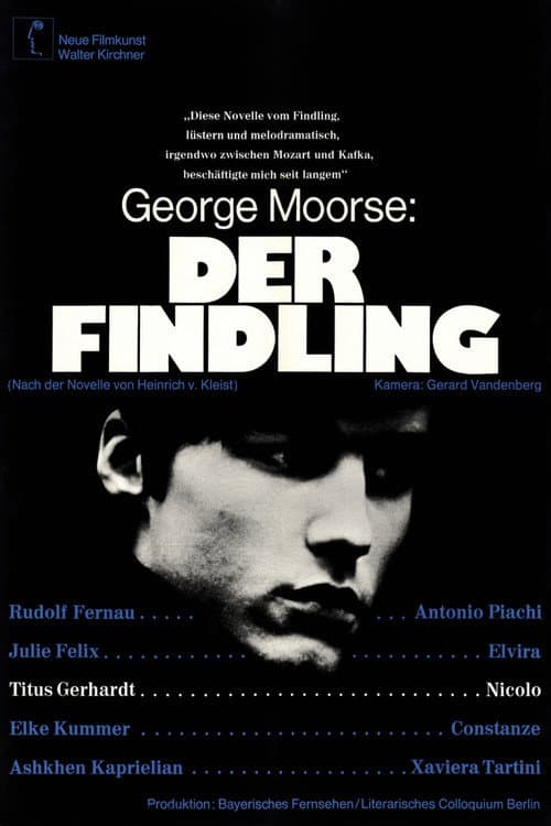 Der Findling poster