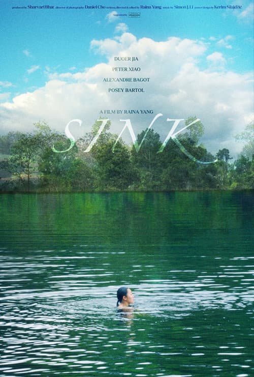 Sink poster
