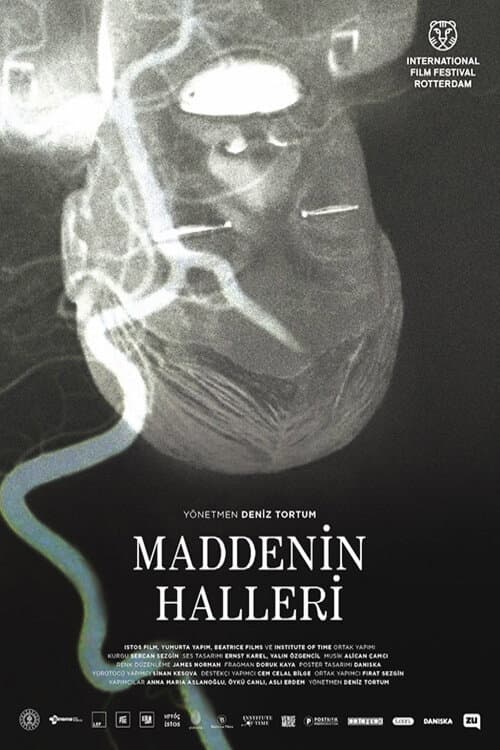 Maddenin Halleri poster