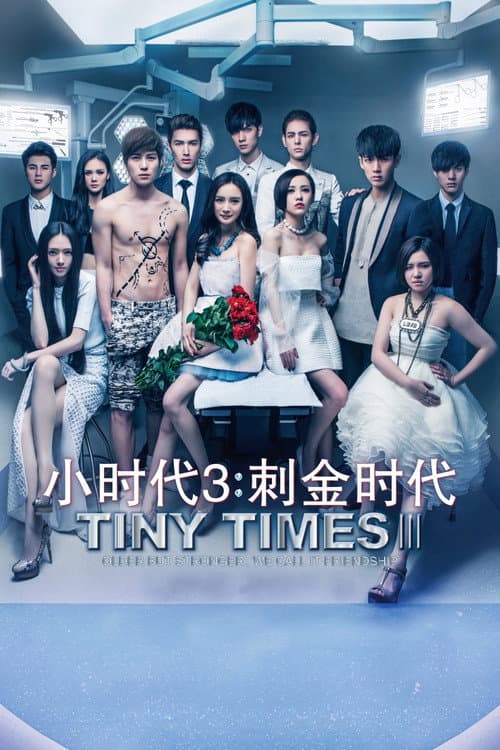 小时代3:刺金时代 poster