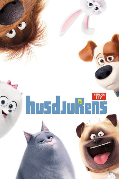 Husdjurens hemliga liv poster