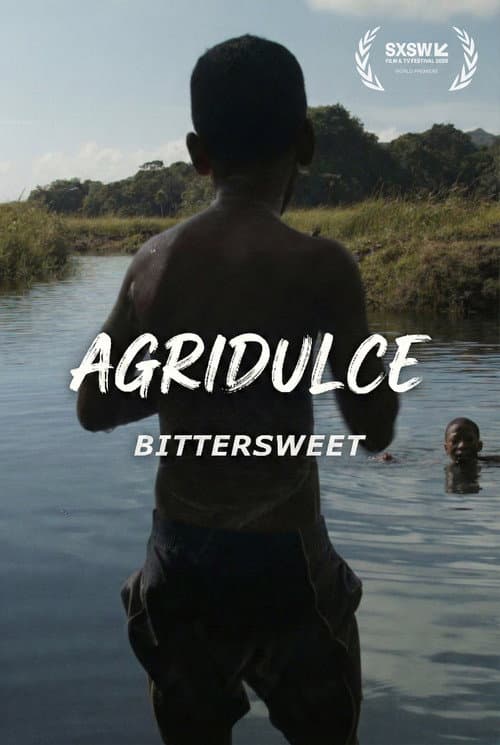 Agridulce poster