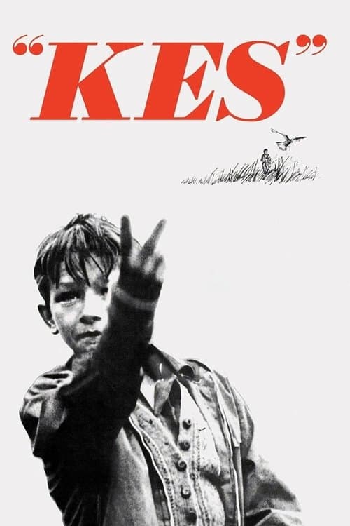 Kes – falken poster