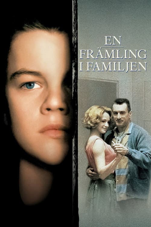 En främling i familjen poster