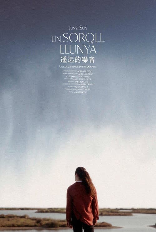 Un soroll llunyà poster