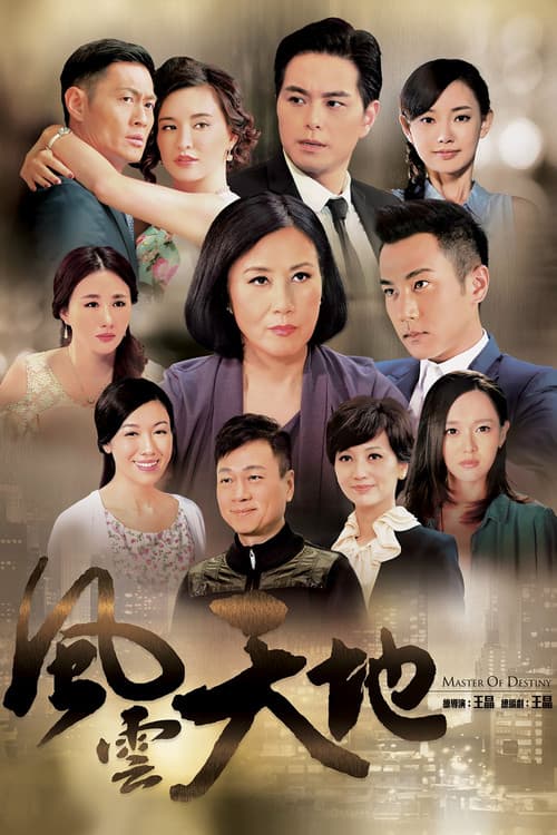 風雲天地 poster