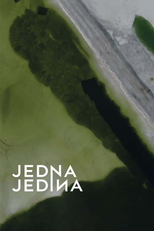 Jedna jedina poster
