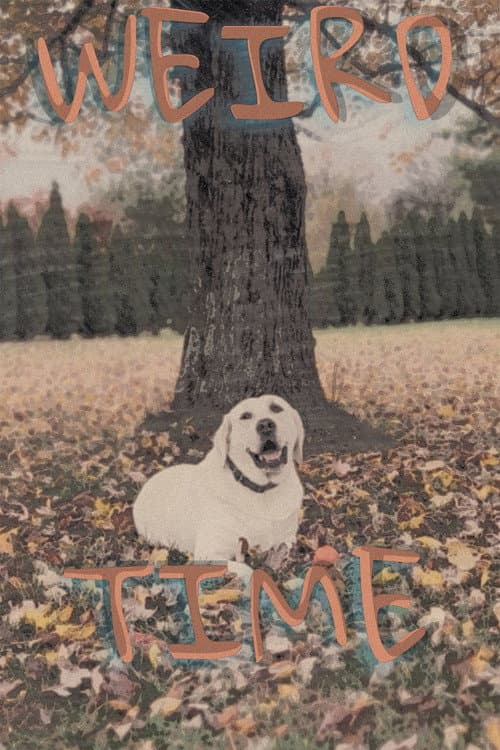 Weird Time poster