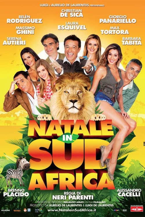 Natale in Sudafrica poster
