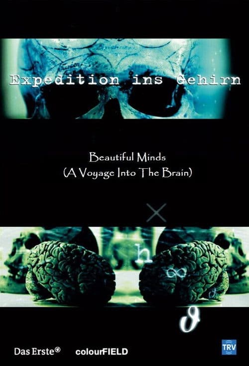 Beautiful Minds - Voyage into the Brain poster