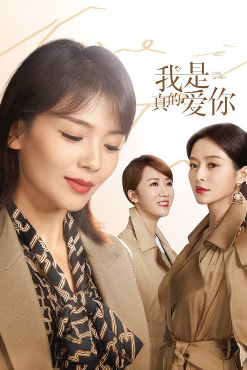 我是真的爱你 poster