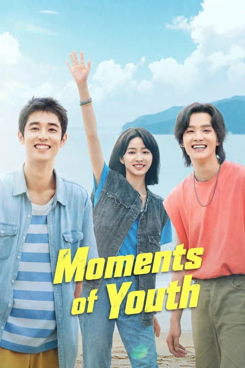 Moments of Youth poster