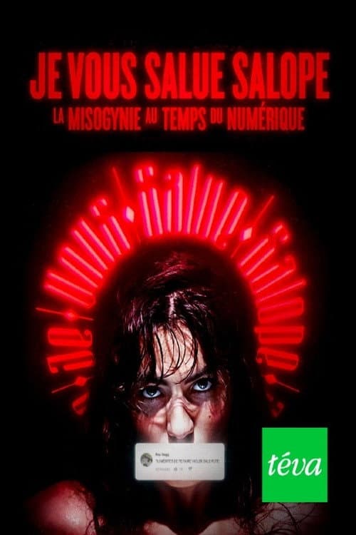 Je vous salue salope : La misogynie au temps du numérique poster
