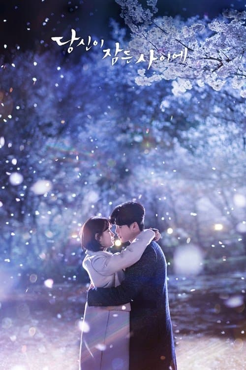 당신이 잠든 사이에 poster