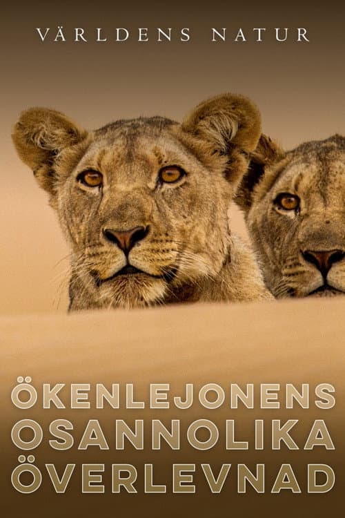 Ökenlejonens osannolika överlevnad poster