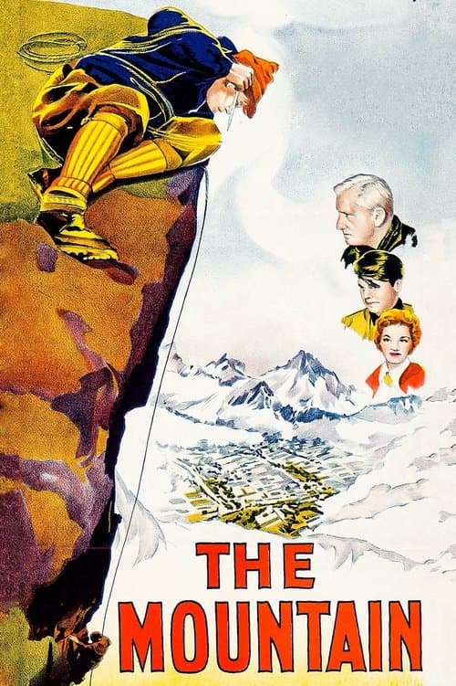 Ett flygplan har störtat poster