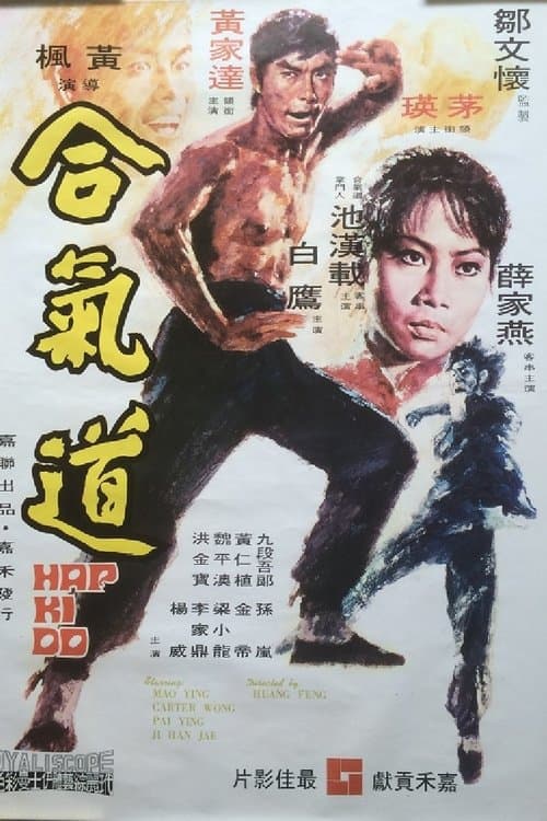合氣道 poster