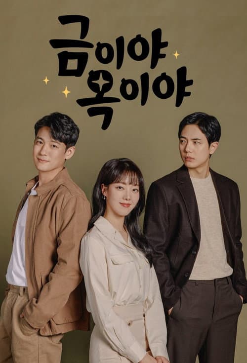 금이야 옥이야 poster