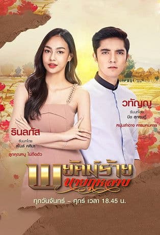Mr. Rose: The Secret Spy poster