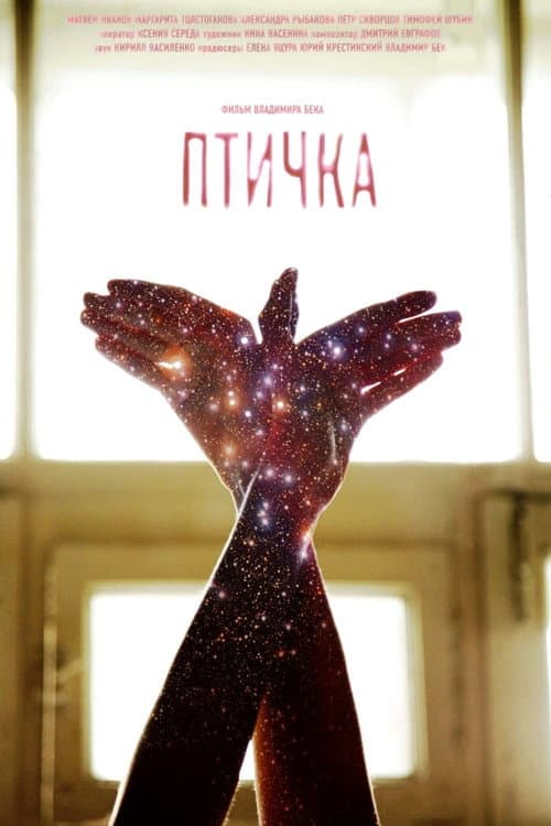 Птичка poster